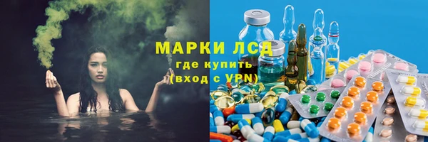индика Алексеевка