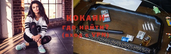 индика Алексеевка