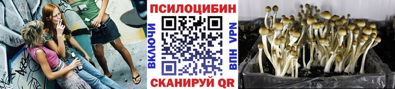 Галлюциногенные грибы мухоморы  Дедовск 